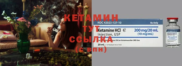 сатива Абаза