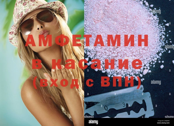 сатива Абаза
