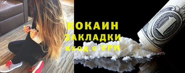 сатива Абаза