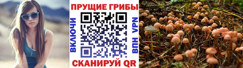 купить сайты Алатырь Галлюциногенные грибы Magic Shrooms